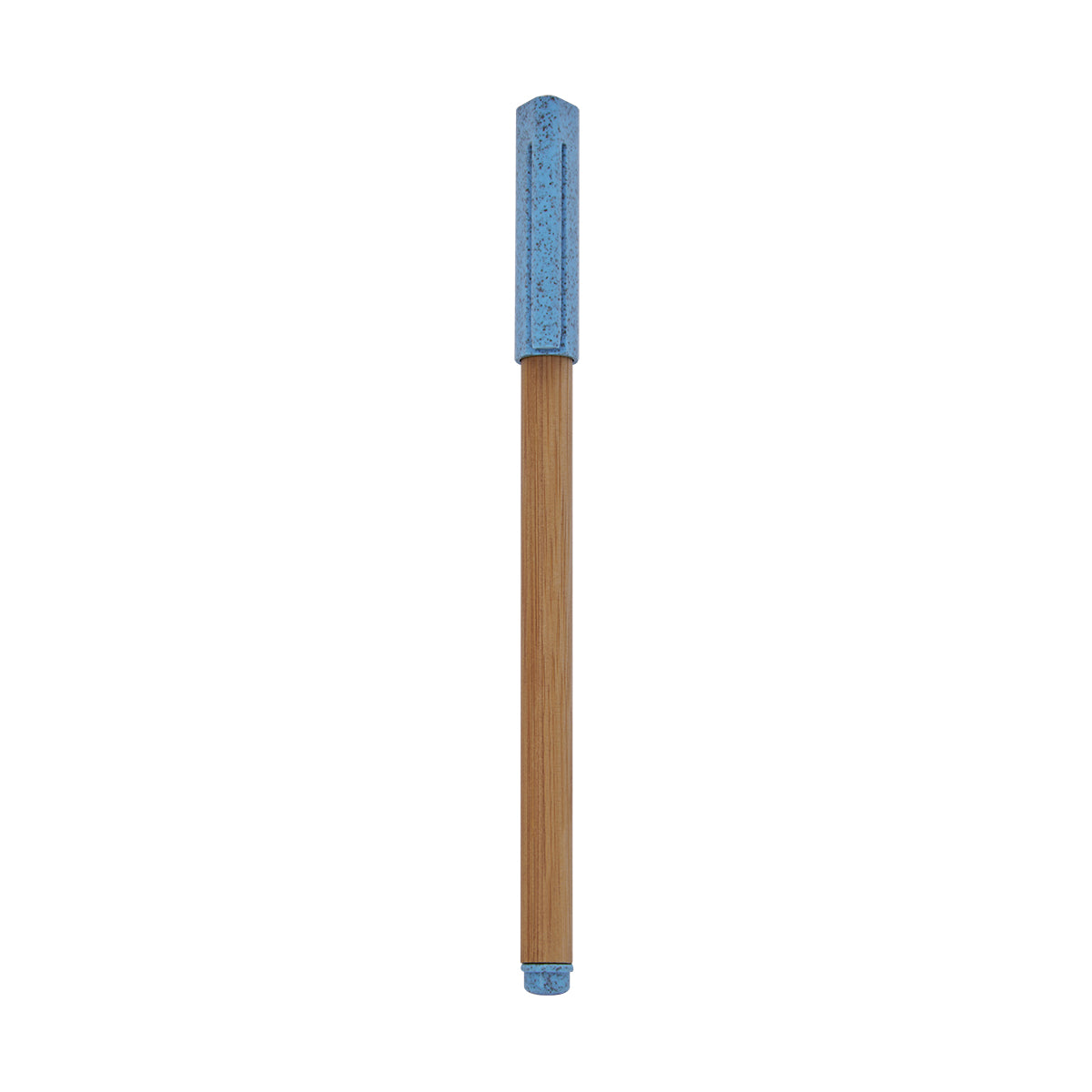 ECO 070