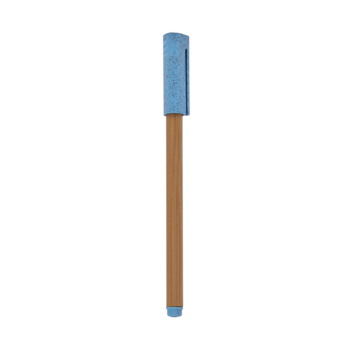 ECO 070