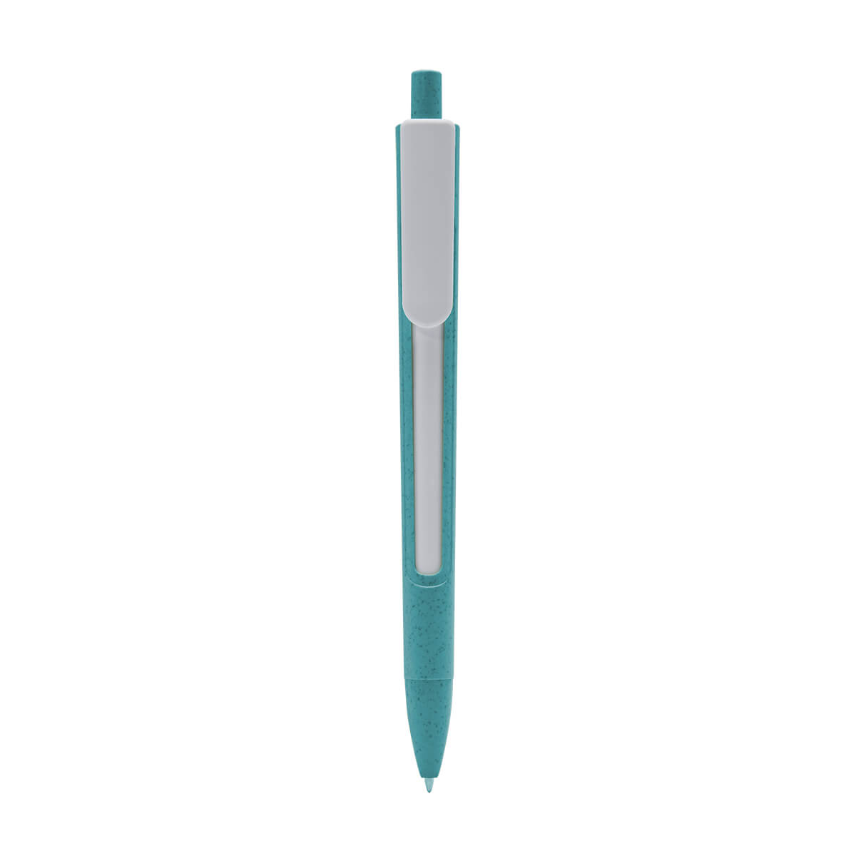 ECO 080