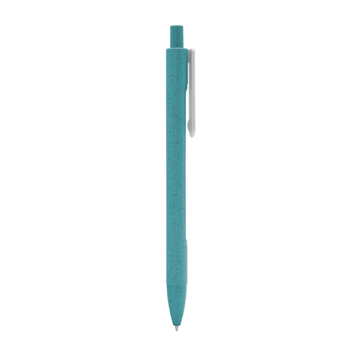 ECO 080