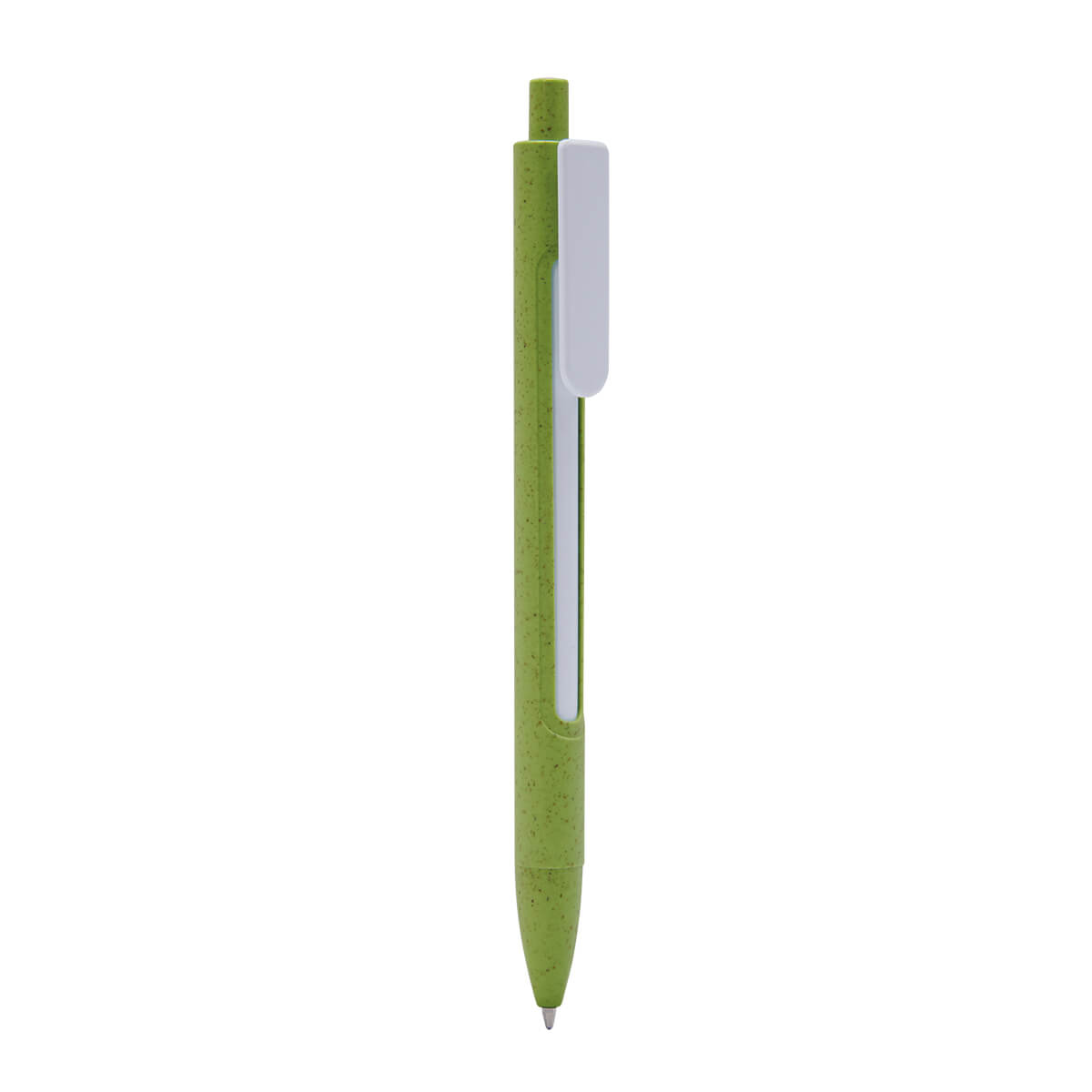 ECO 080