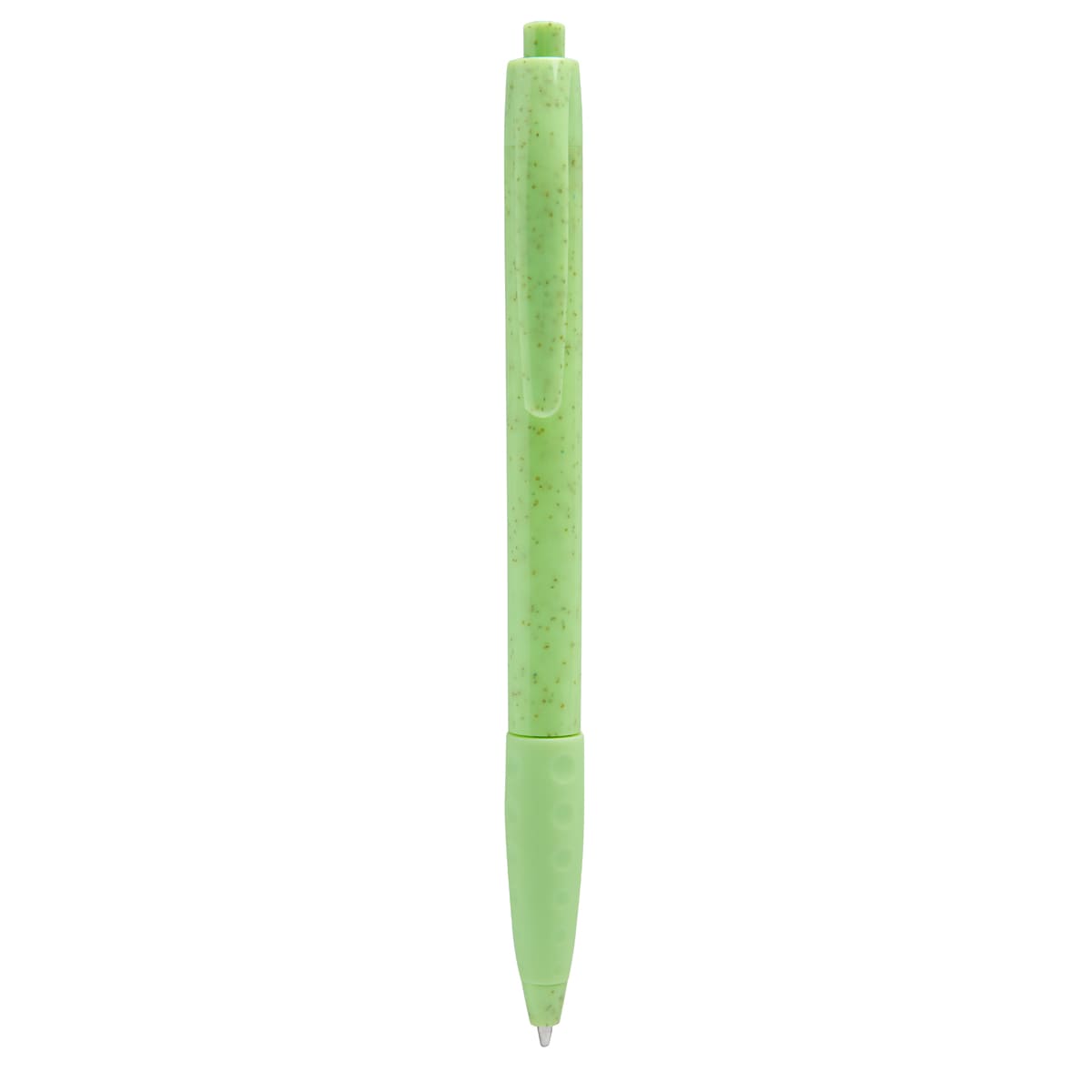 ECO 100