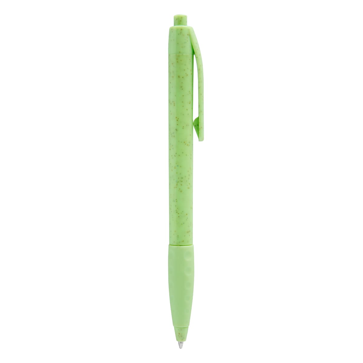 ECO 100