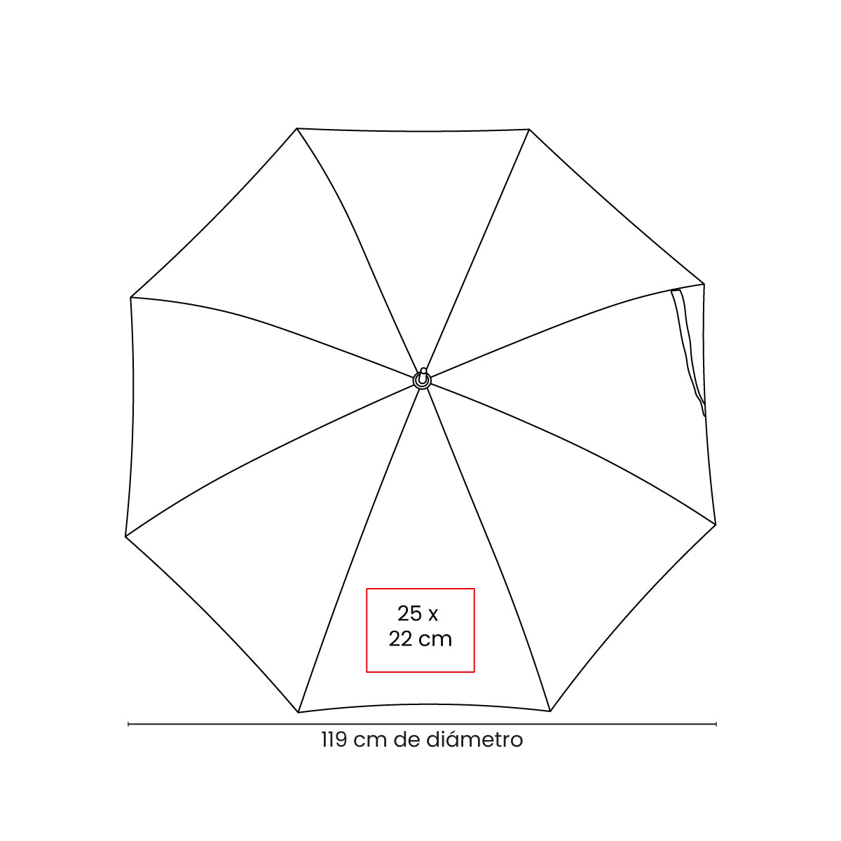 vector