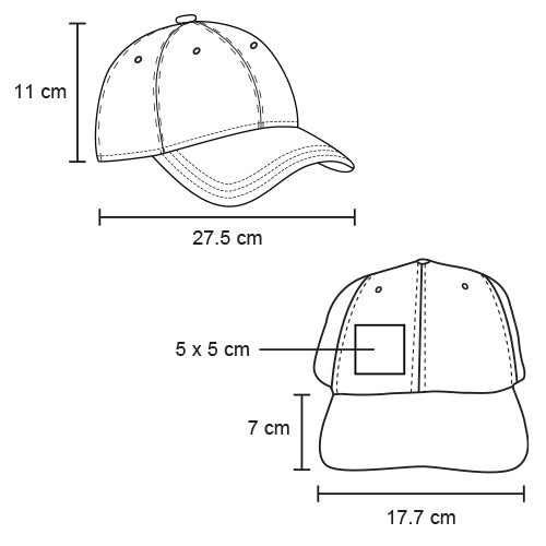vector