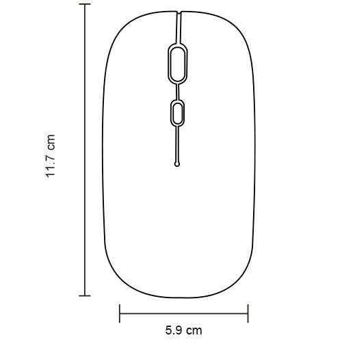 vector