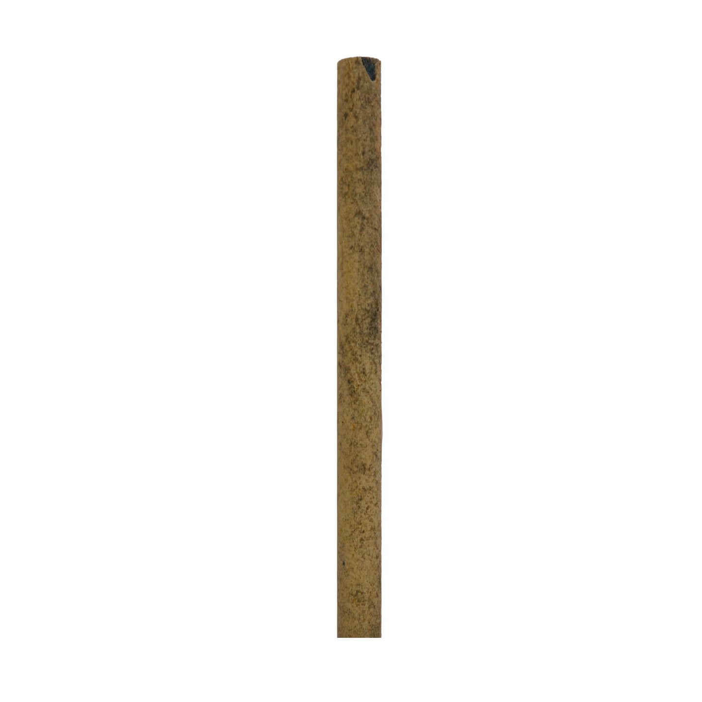 PE 003
