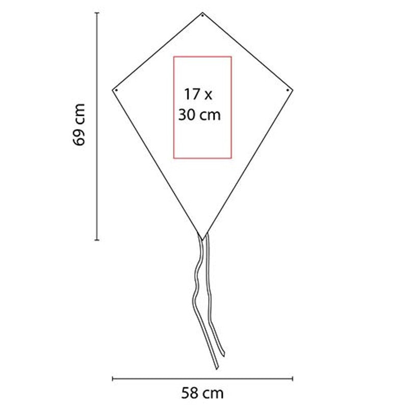 GM 005
