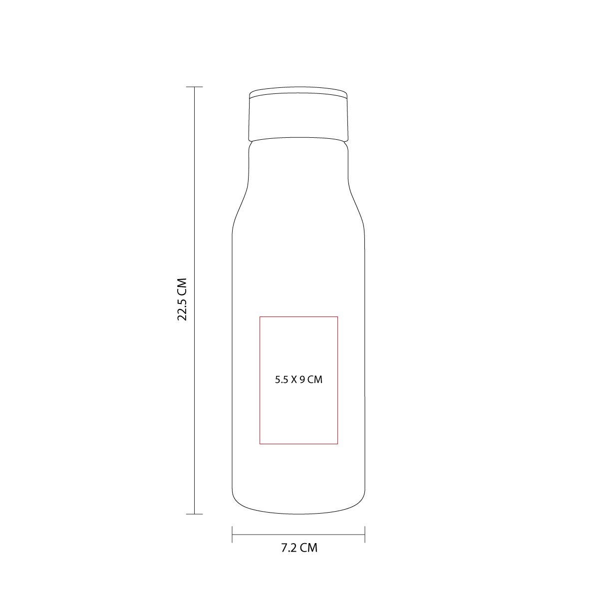 vector