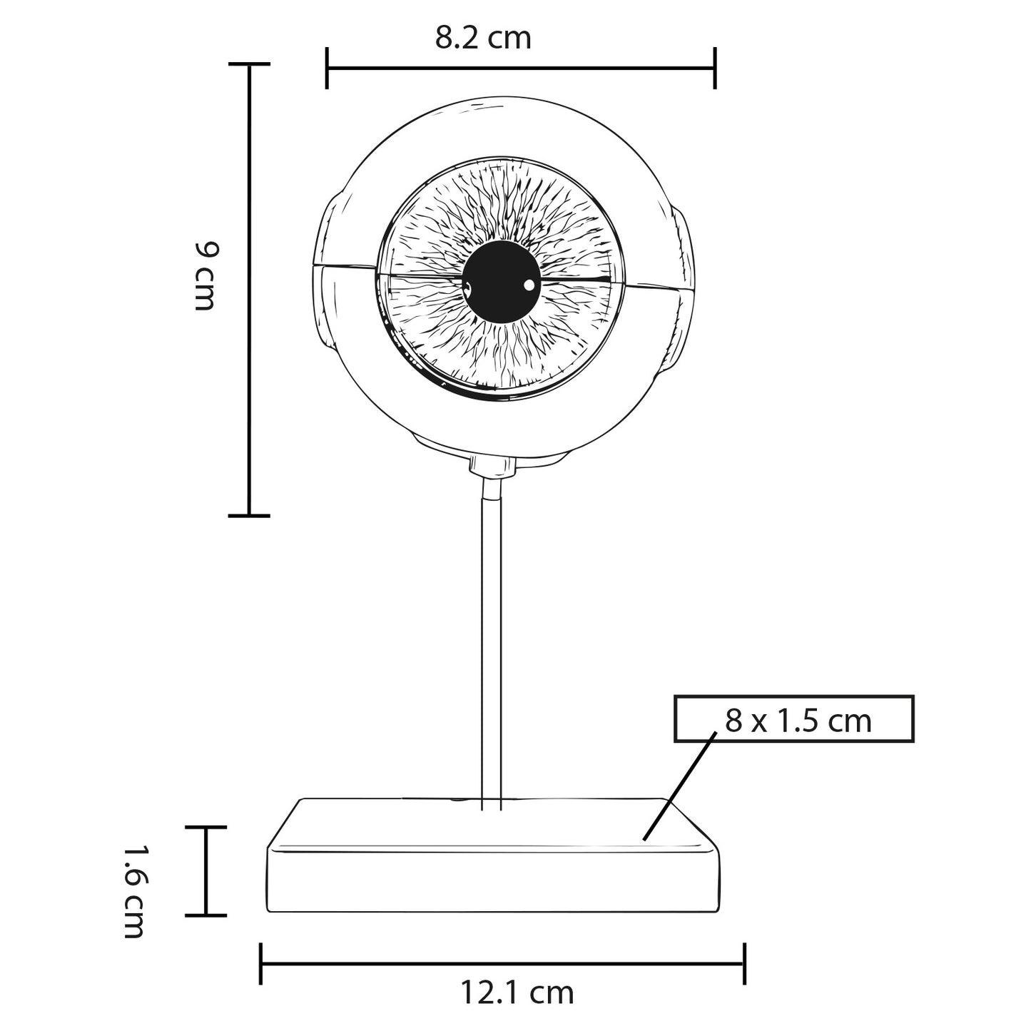 vector