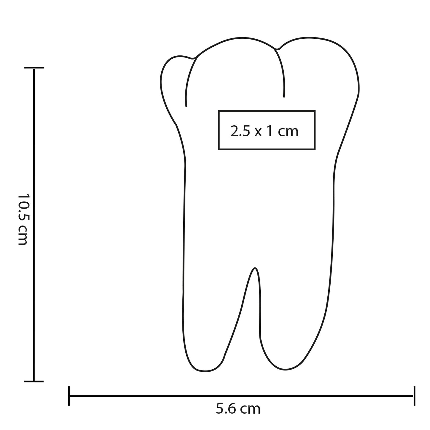 vector