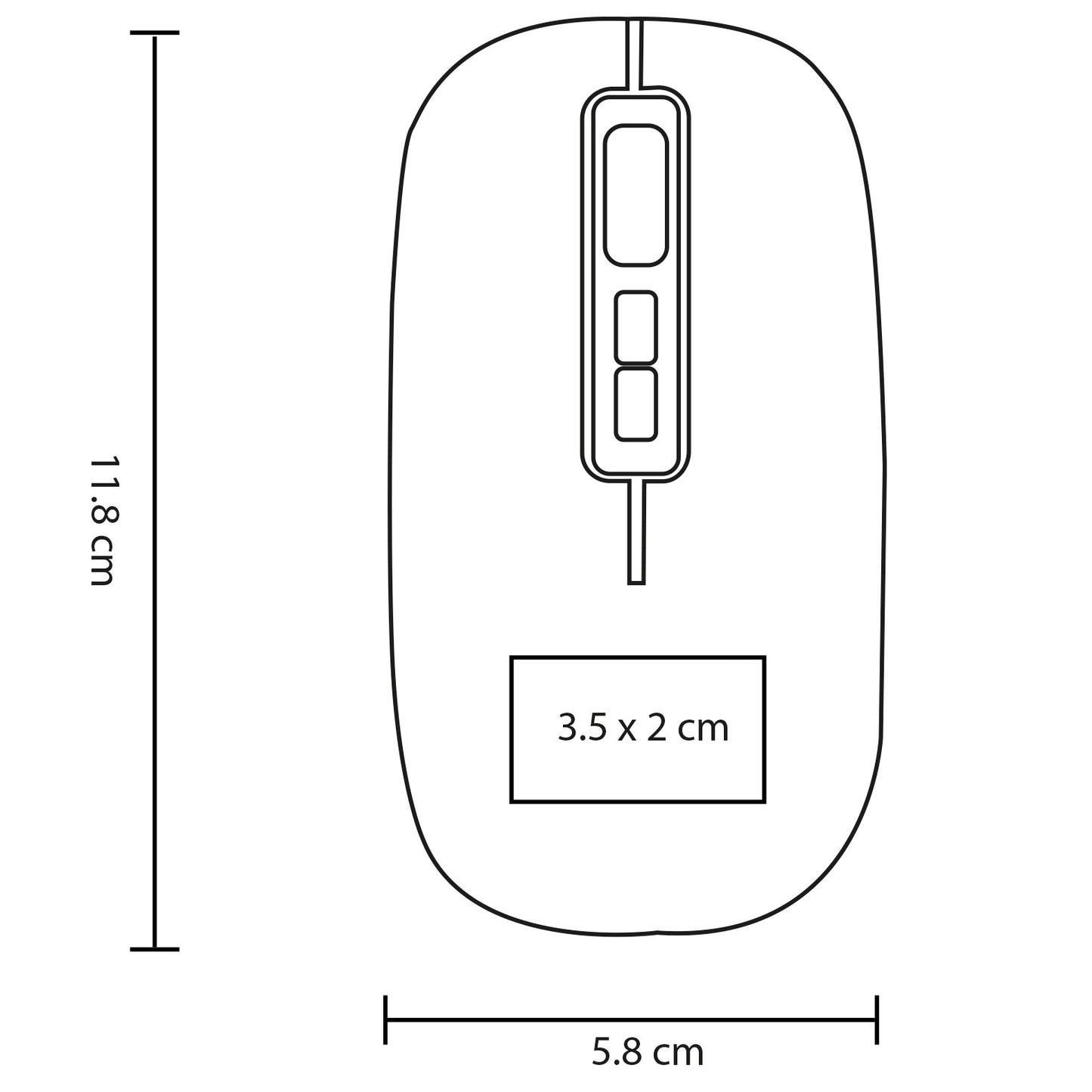 vector