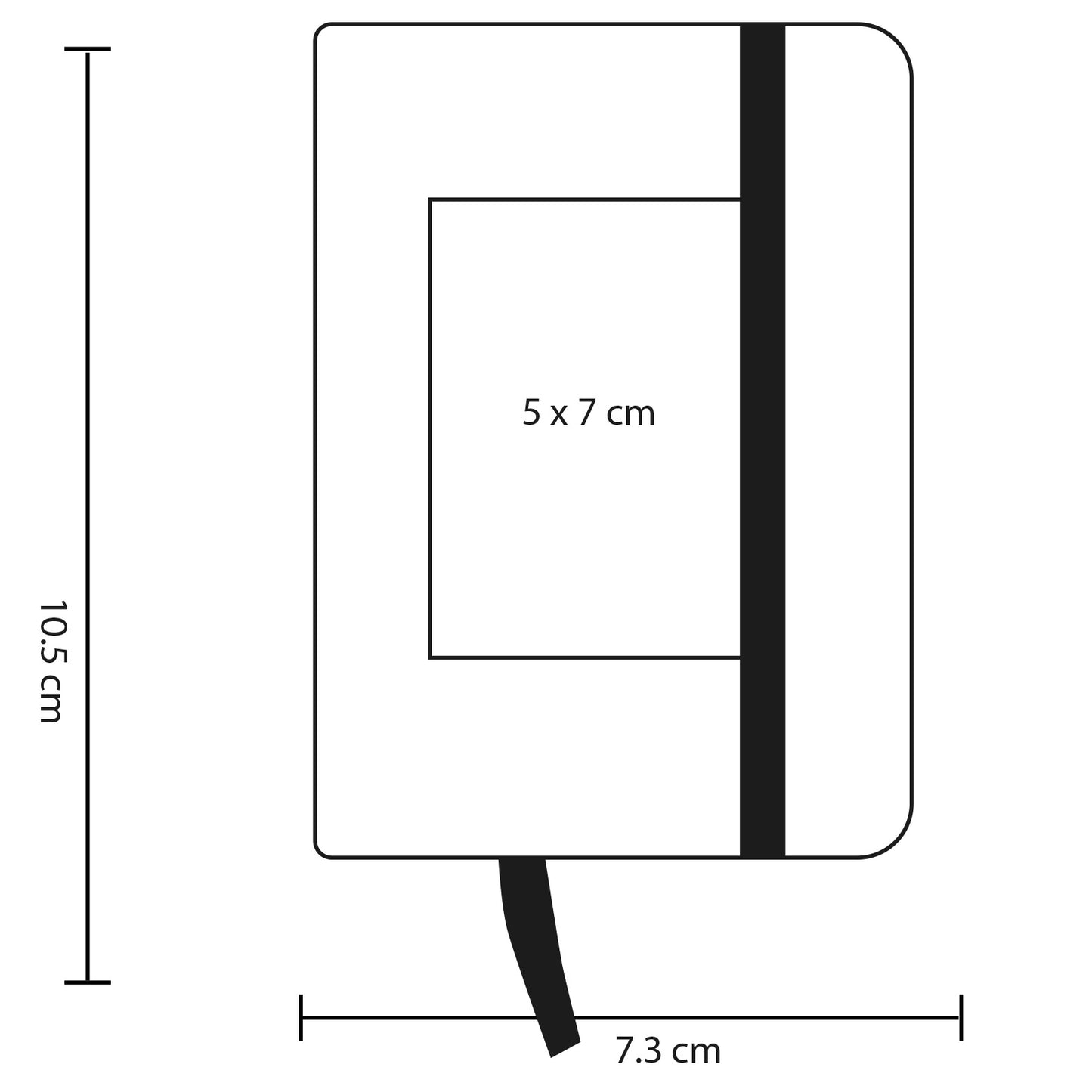 vector
