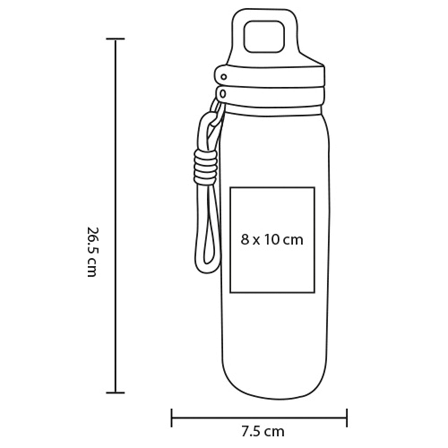 vector