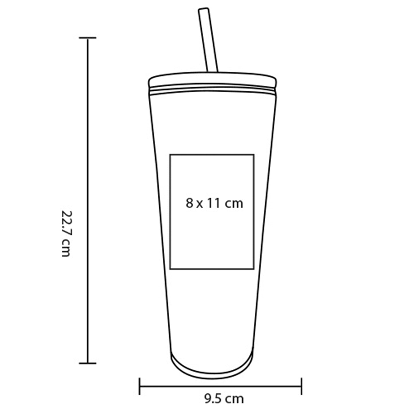 vector