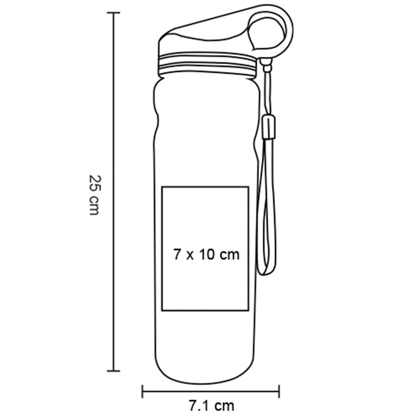 vector