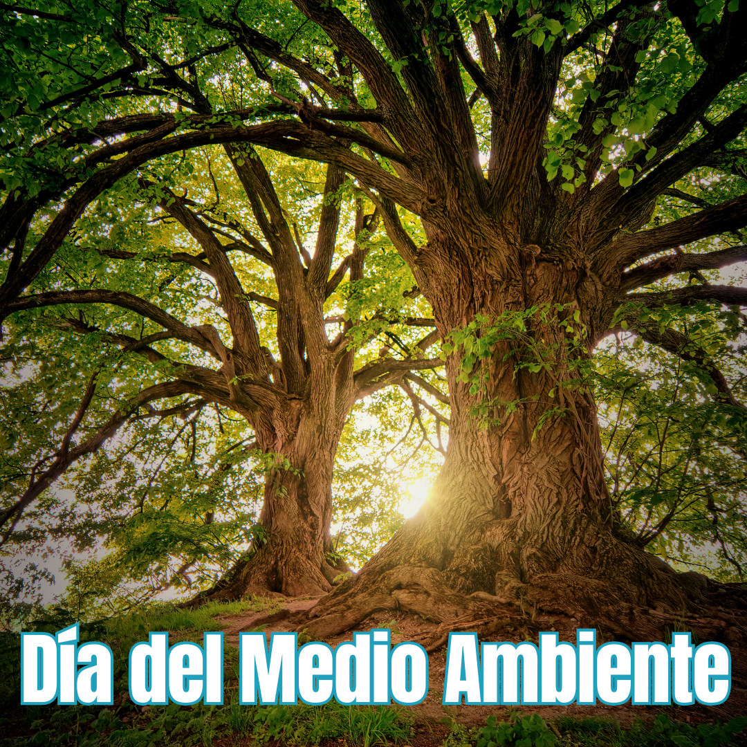 Día Medio Ambiente