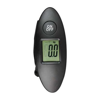 BAS 004