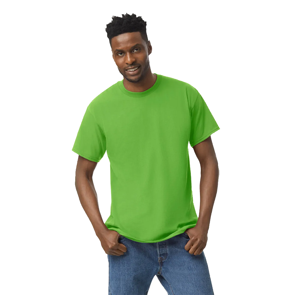 CAMISETA GILDAN HEAVY 500