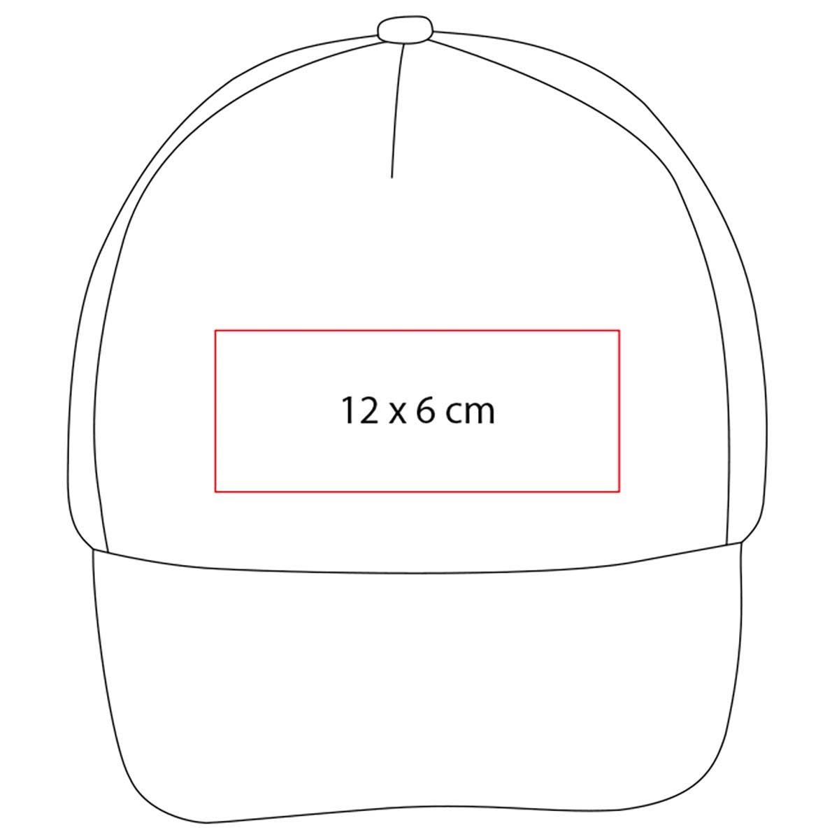 CAP 015