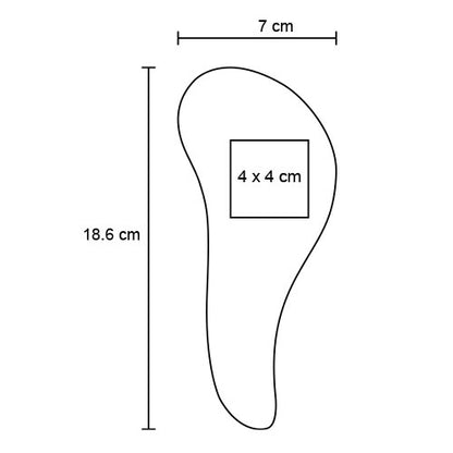 CP 087
