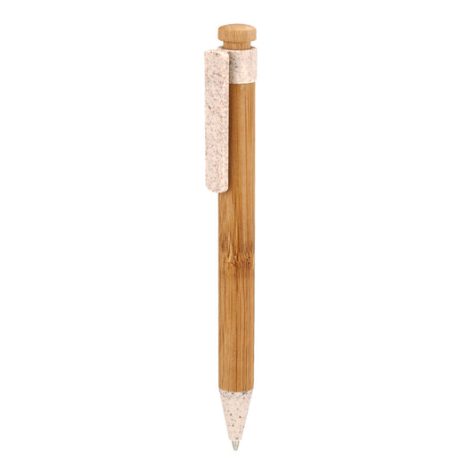 ECO 065