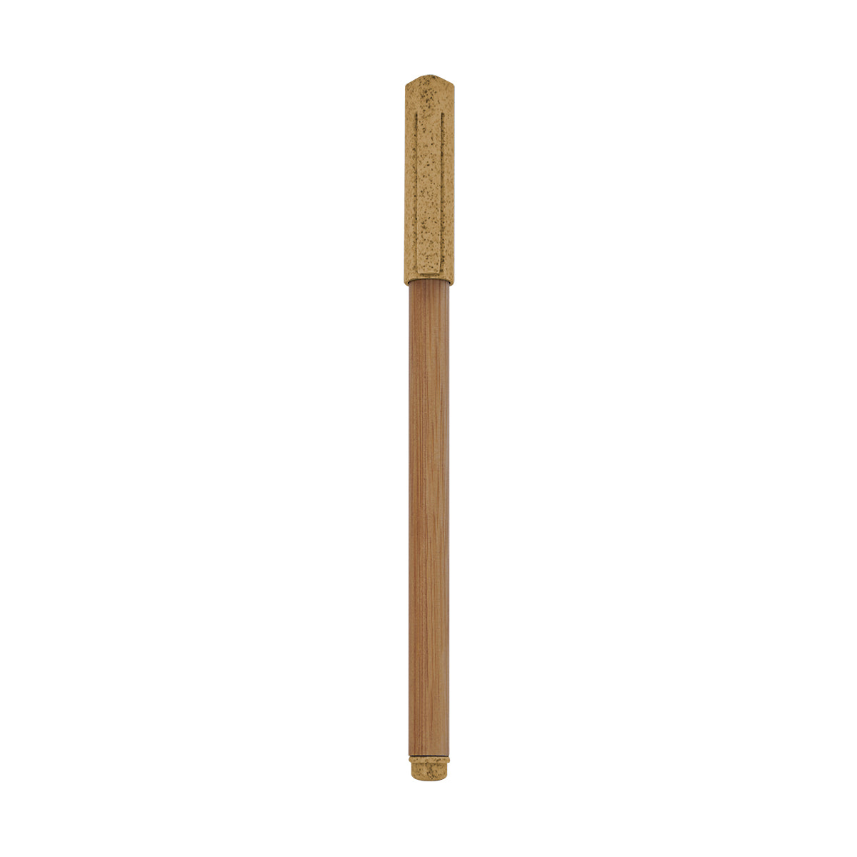 ECO 070