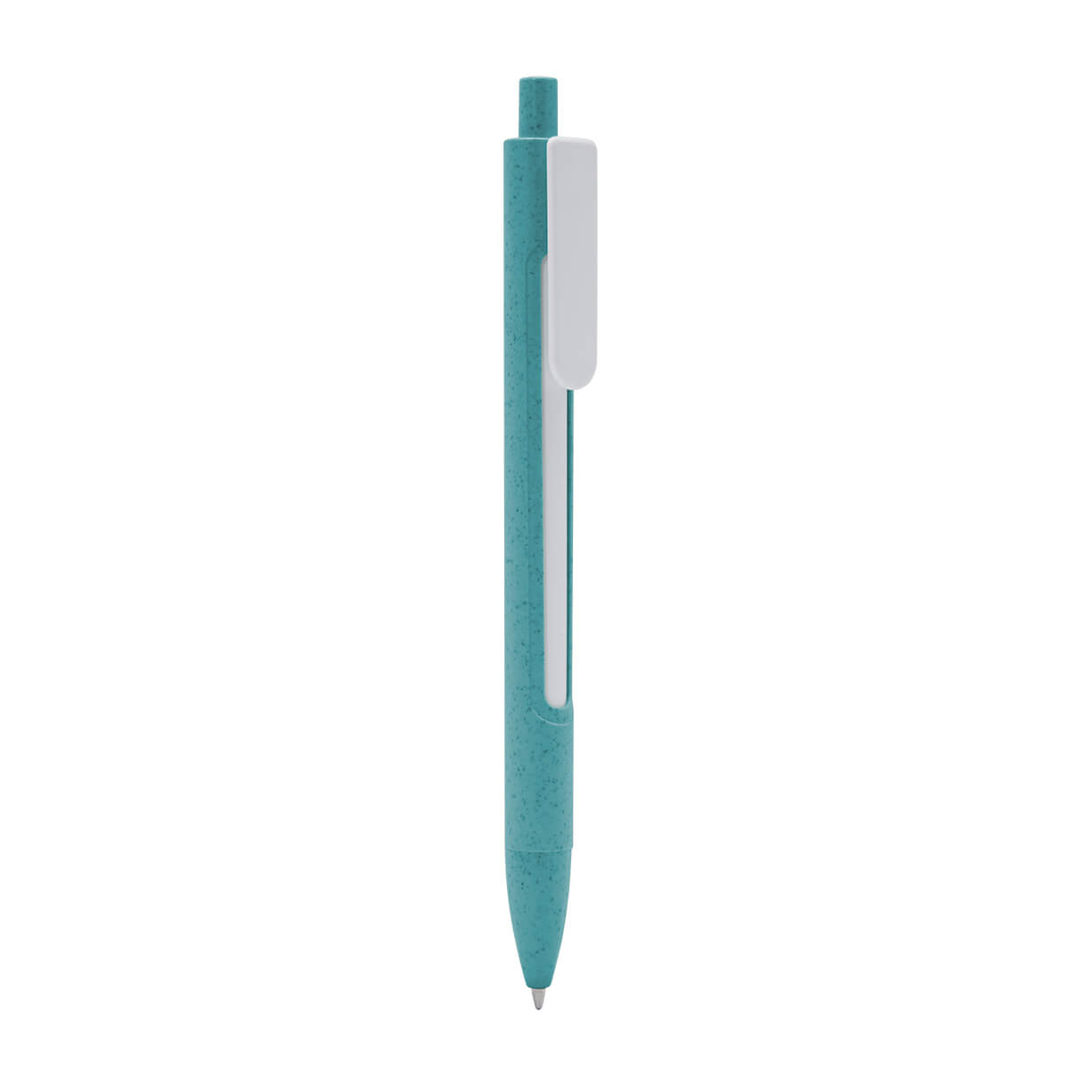 ECO 080