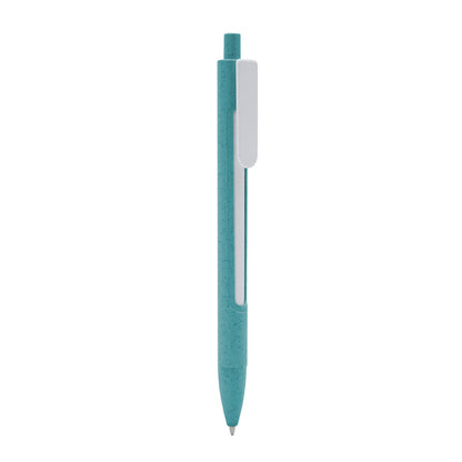 ECO 080