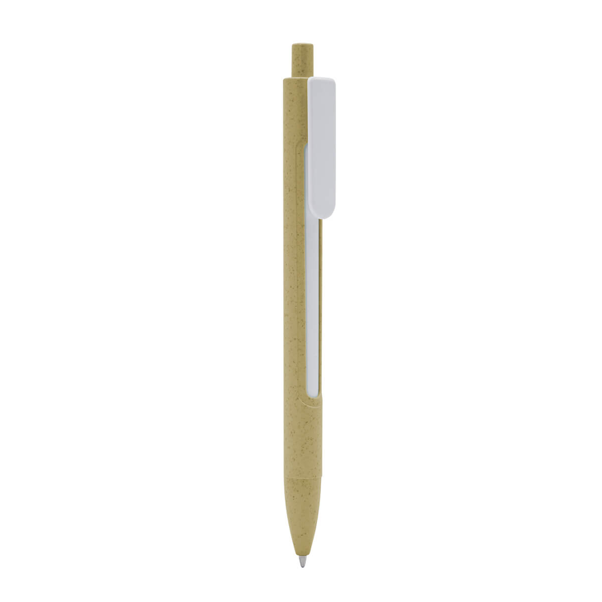 ECO 080