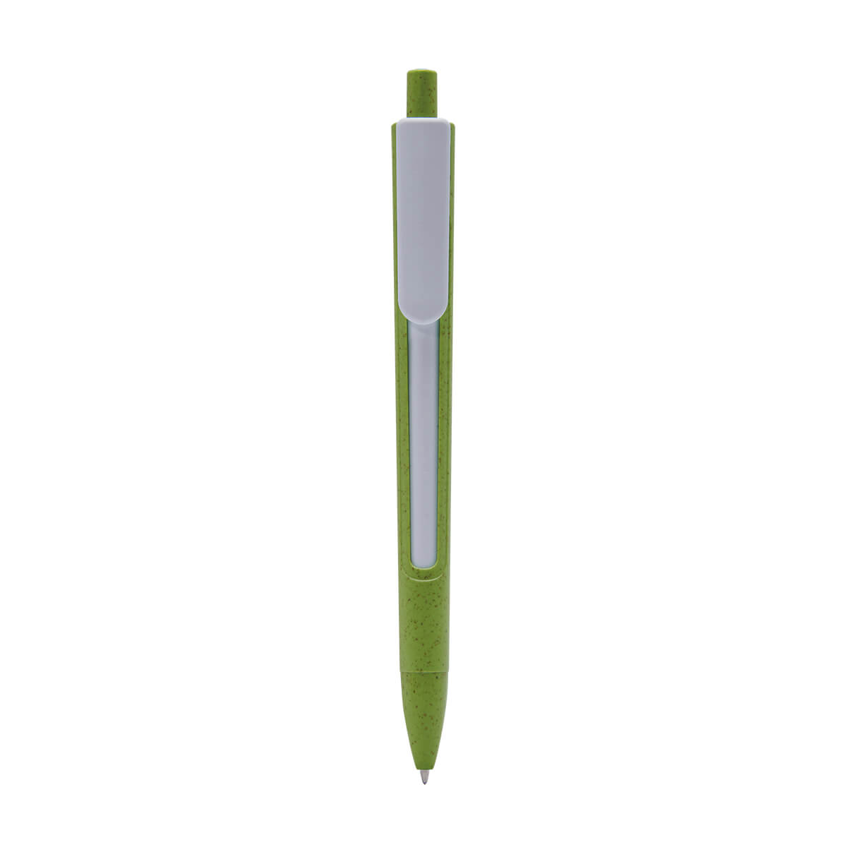 ECO 080