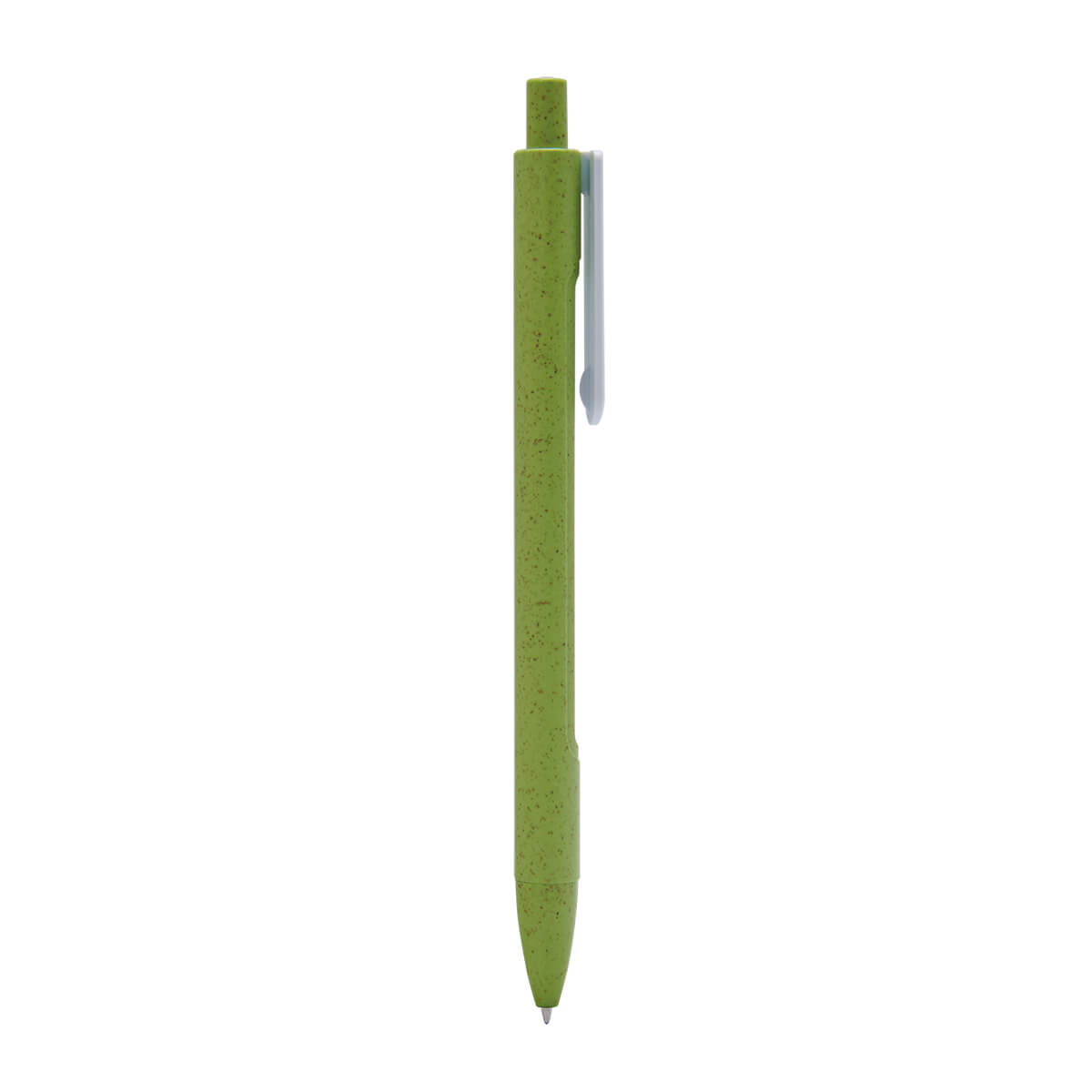 ECO 080