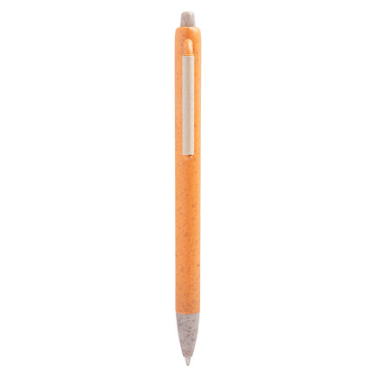 ECO 090