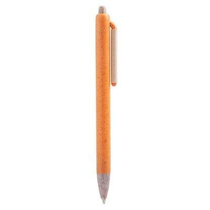 ECO 090