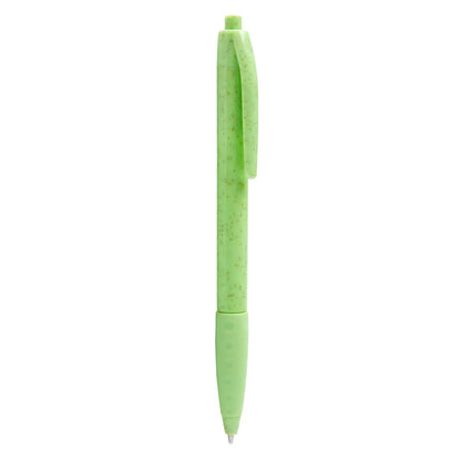 ECO 100
