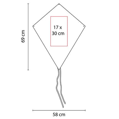GM 005