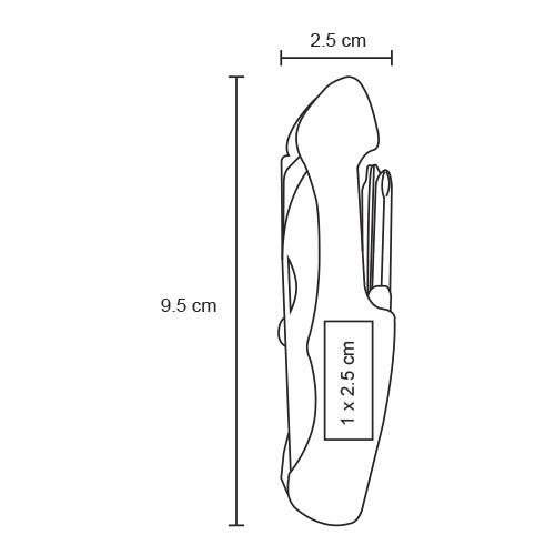 HR 019