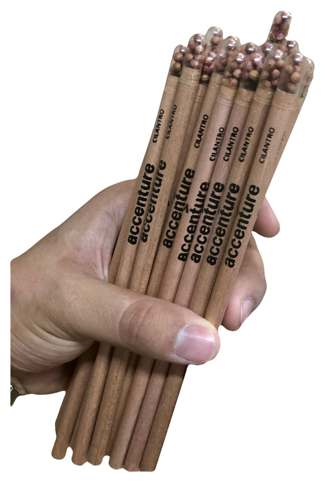 Lápiz con Semillas (Cápsula)