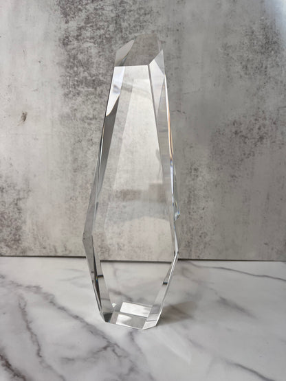 Trofeo "winner"