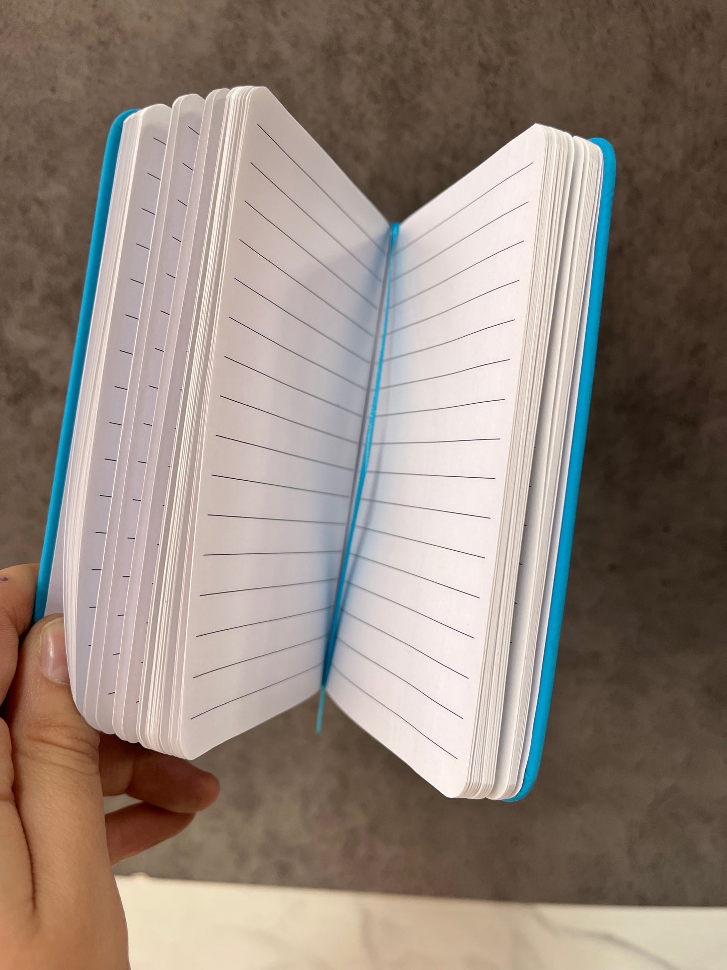 Libreta de bolsillo lupus