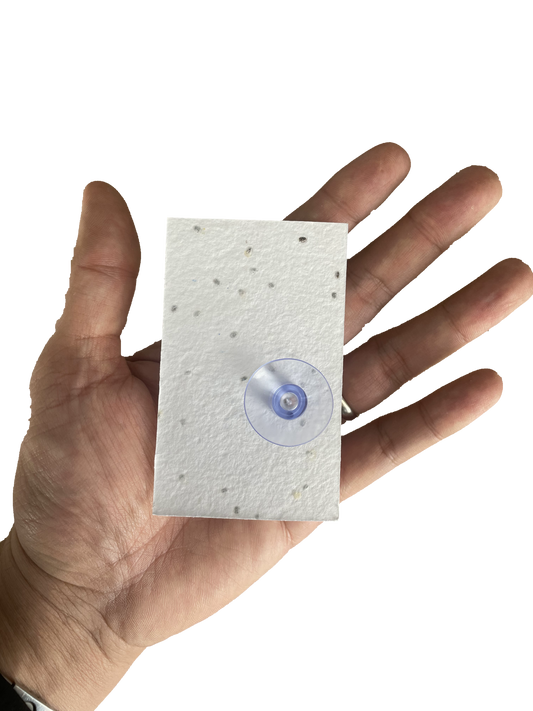 Kit Reloj de Arena + Instructivo Papel Germinable