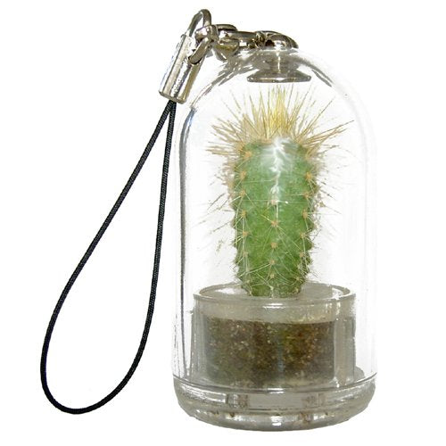 Llavero Planta (Planta Mascota)