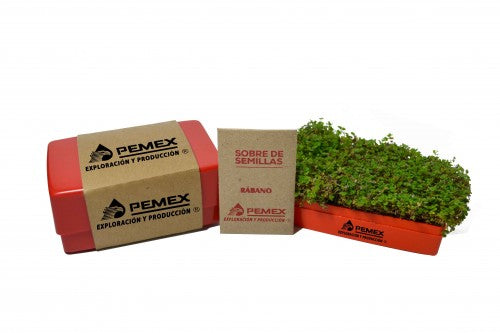 Maceta “Plastic Box”