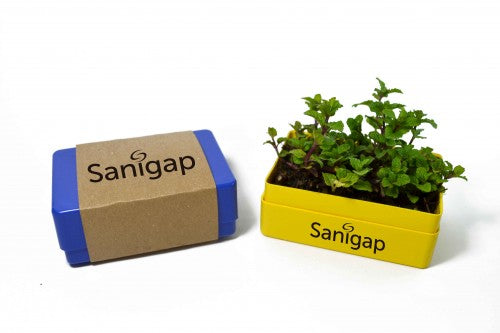 Maceta “Plastic Box”