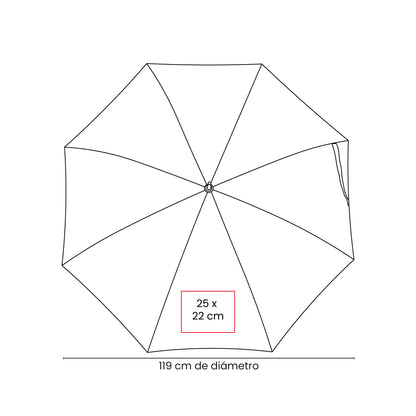 vector