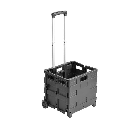 P2 BL 310 NEGRO