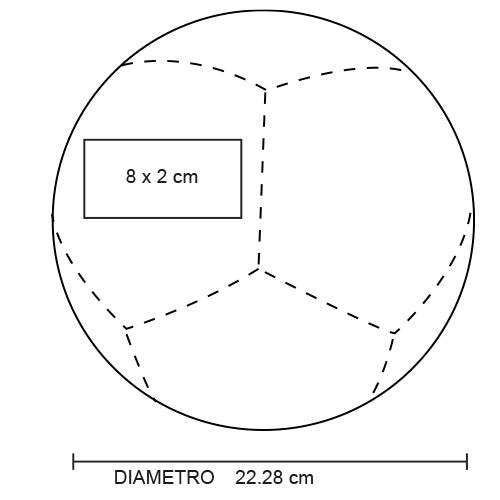 vector