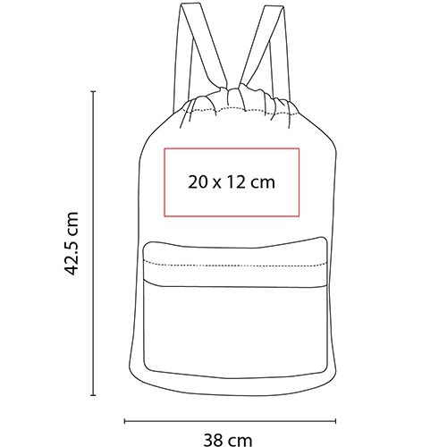 SIN 301