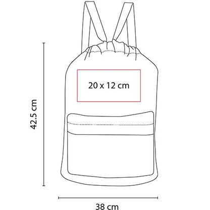 SIN 301