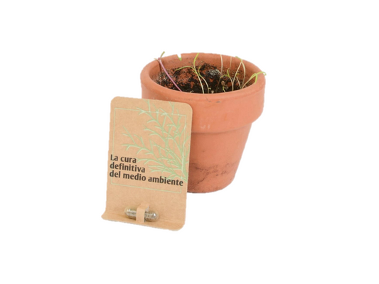 Píldoras de Bienestar